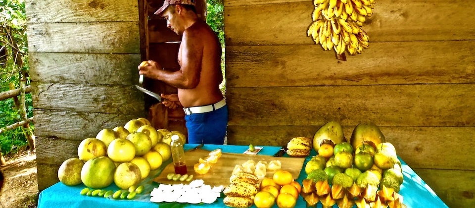 Fruta • Fruit bar • Bar à fruits – El Yunque – Baracoa