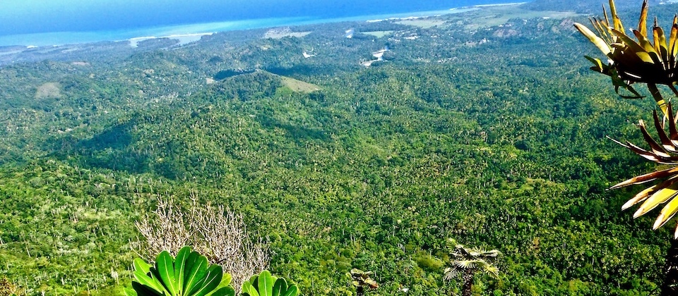 El Yunque – La cumbre • The Summit • Le sommet – Baracoa