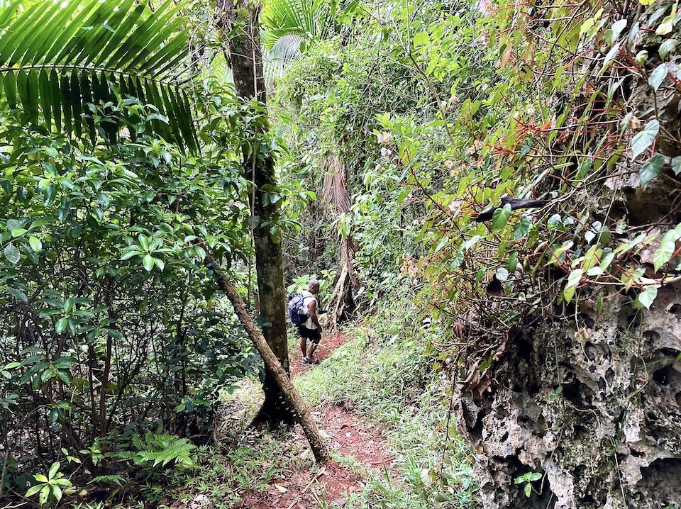 El Yunque • Baracoa Cuba • Hiking Randonnée Senderismo Excursionismo