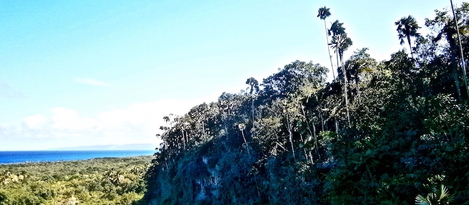 Yara-Majayara • Baracoa, Cuba