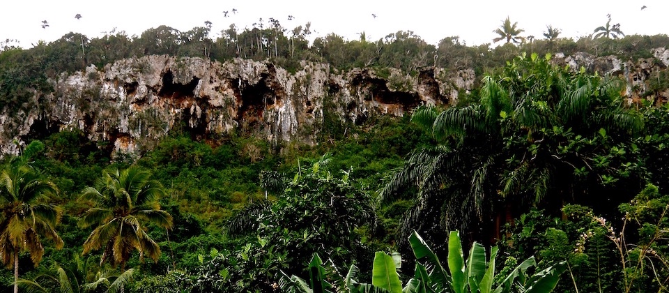 Cuevas • Caves • Cavernes – Yara, Baracoa, Cuba