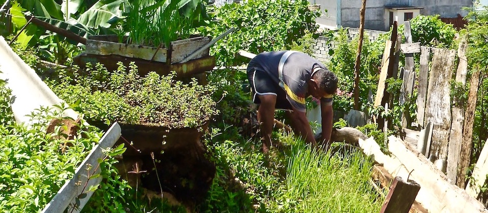 Organopónico • Organic garden • Jardin bio – Baracoa, Cuba