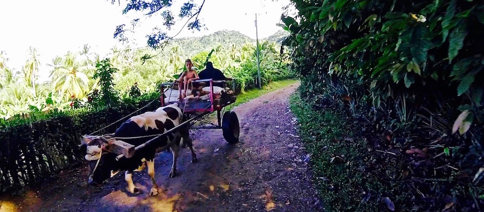 Carreta en Boma, Baracoa, Cuba