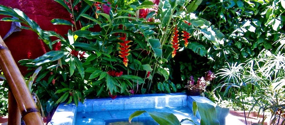 Our Garden at Villa Paradiso Baracoa Cuba