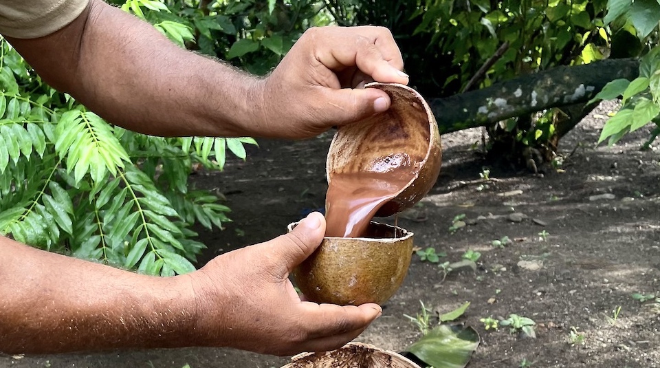 Chorote • Baracoa Hot Cocoa Drink