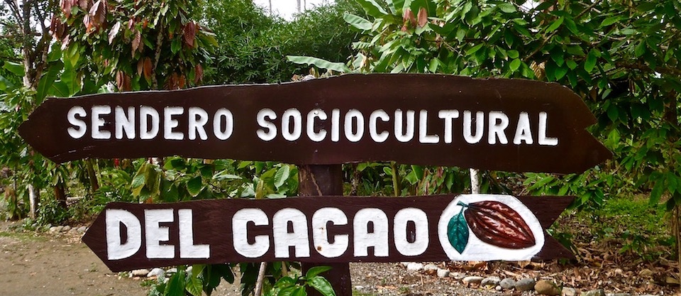 Sendero del Cacao – Baracoa, Cuba