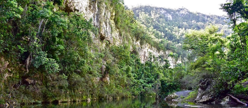 Still river at Yumurí Canyon • Baracoa Cuba