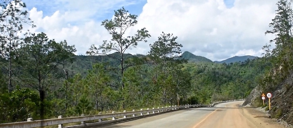 La Farola – pine trees from Santiago to Baracoa Cuba