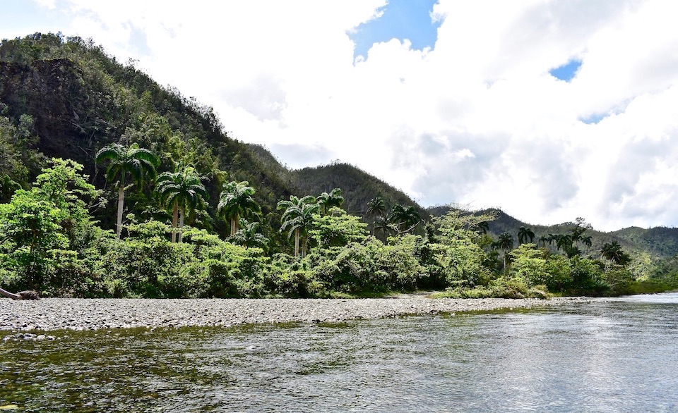 River Las Minas and the Charrascal Flora | Villa Paradiso