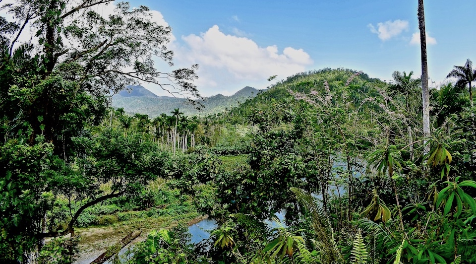Rivière Quibijan • Baracoa Cuba