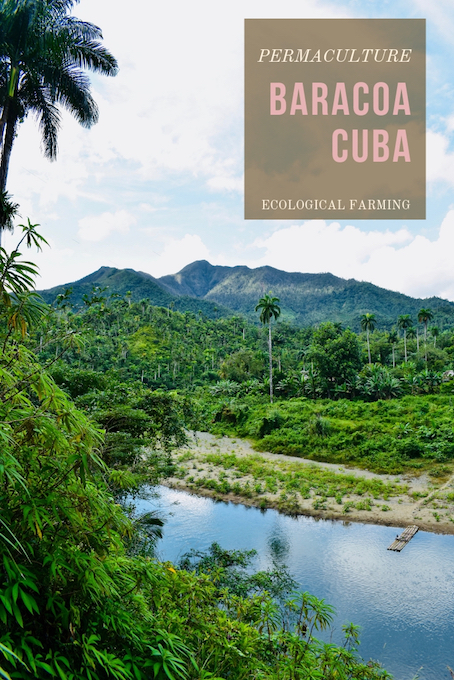 Permaculture Eco Farming Baracoa Cuba