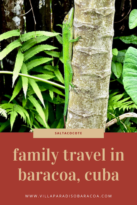 FAMILY TRAVEL • RIVER TOA • BARACOA, CUBA