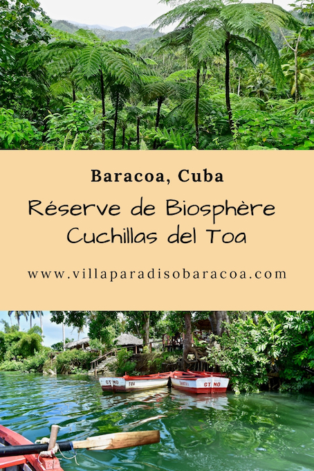 Réserve de biosphère Cuchillas del Toa • Baracoa, Cuba