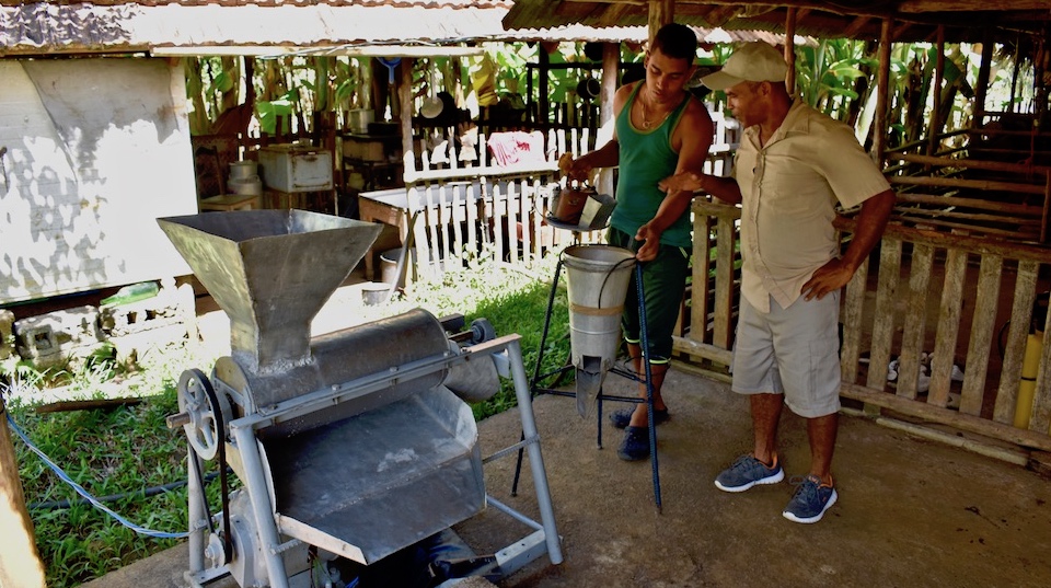 Ferme écologique • Parc Humboldt • Baracoa Cuba