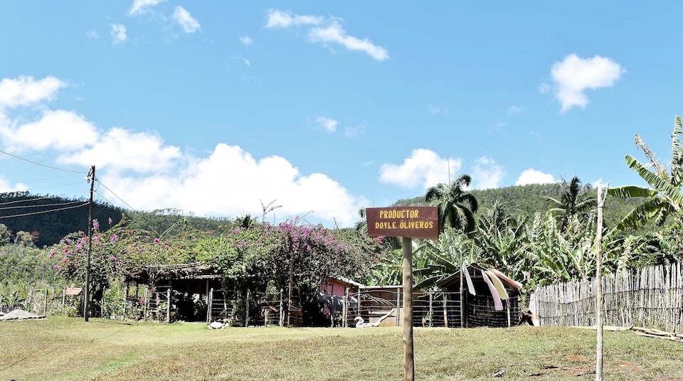 Ecological Farming Humboldt Park Baracoa Cuba