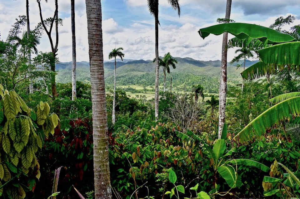 Cacao Tourisme Gourmand Gourmet Tourism Baracoa Cuba