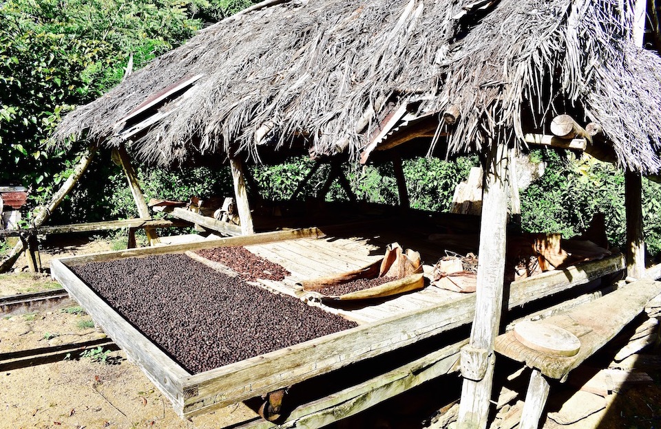 Cacao Café Cocoa Coffee Tradition Baracoa Cuba