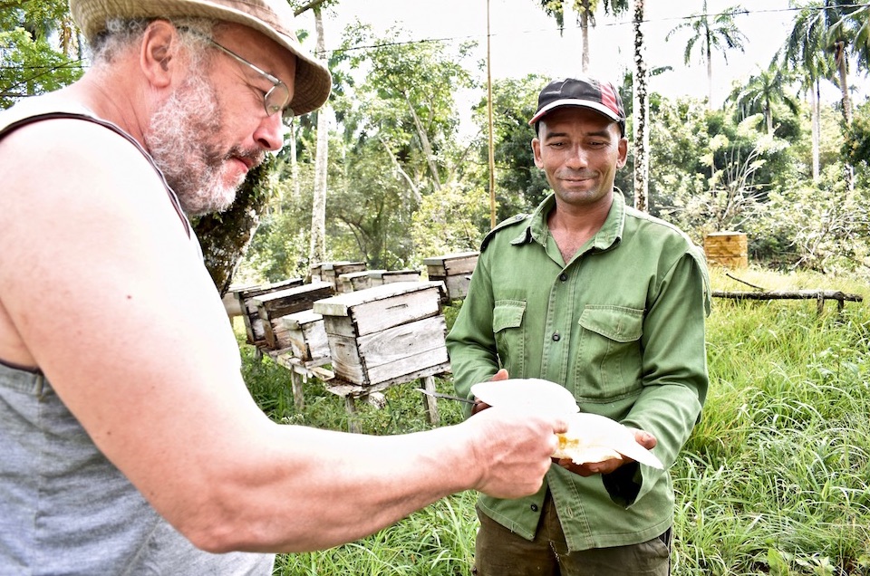 Miel AgriTourisme AgroTourisme Baracoa Cuba