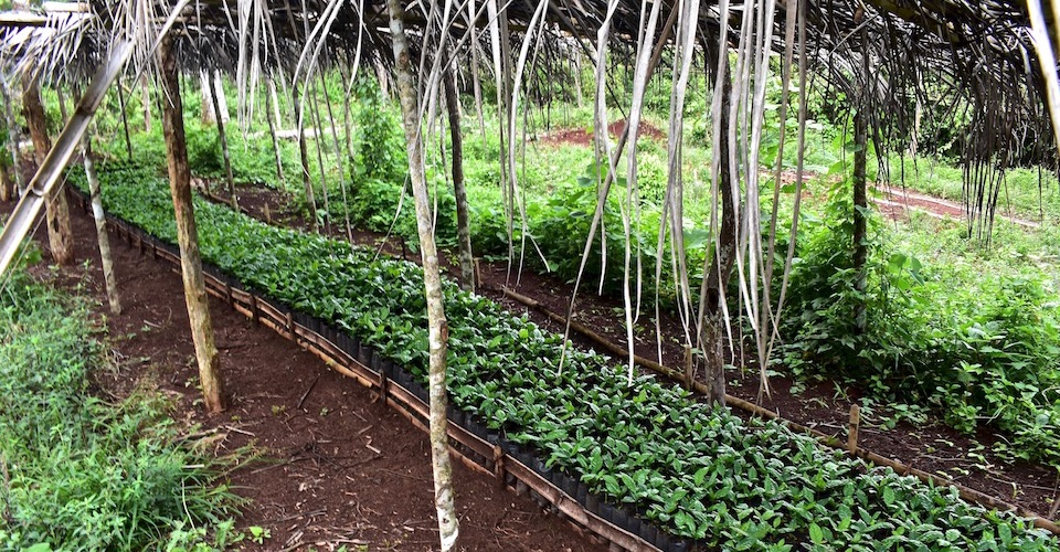 Agritourism Baracoa Cuba