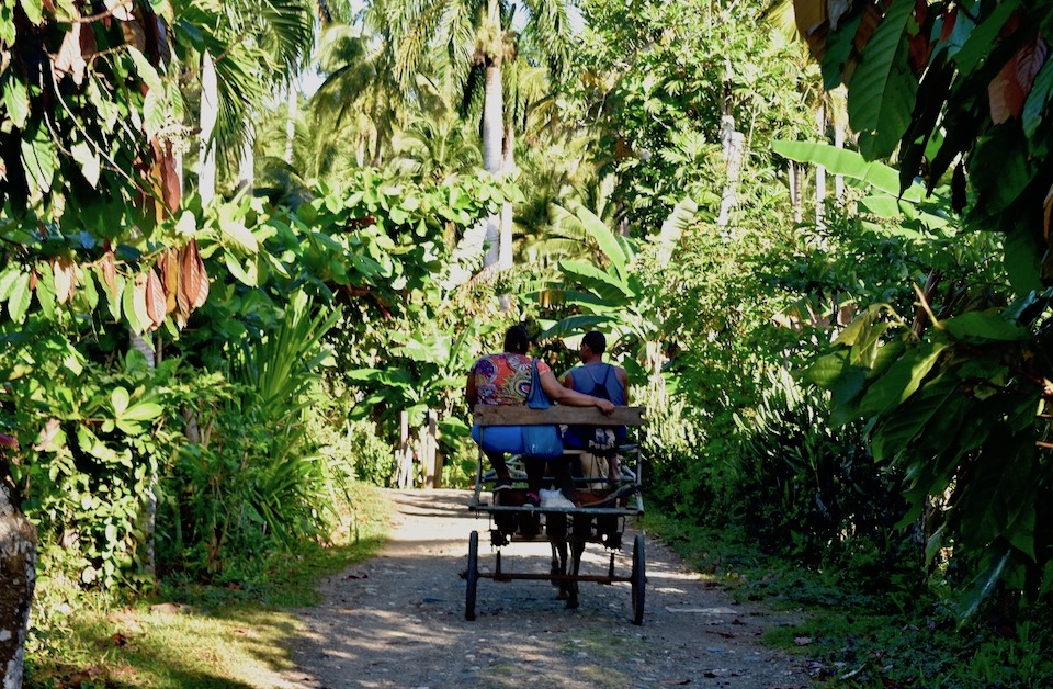 Tourisme Rural Tourism Baracoa Cuba