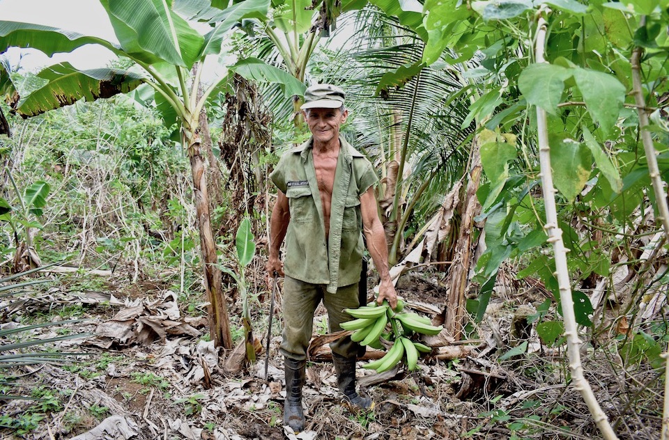 AgroTourisme Baracoa Cuba