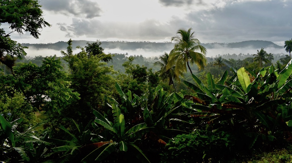 Morning Mist • Baracoa Cuba