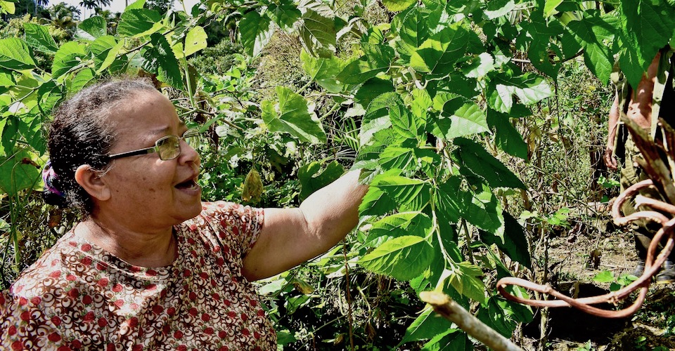 Farm Tourism Baracoa Cuba