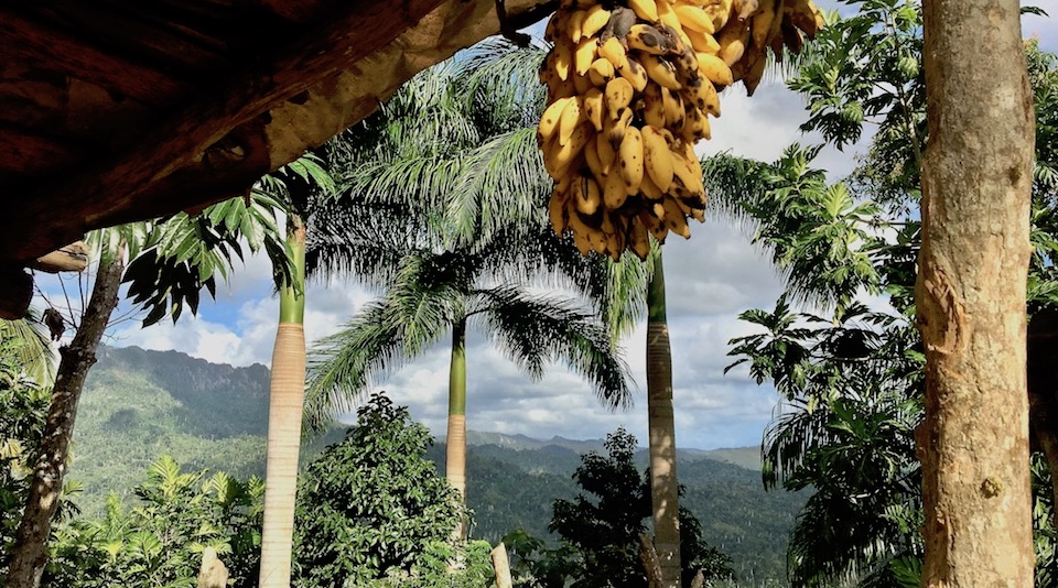 Tourisme gourmand gourmet Tourism Baracoa Cuba