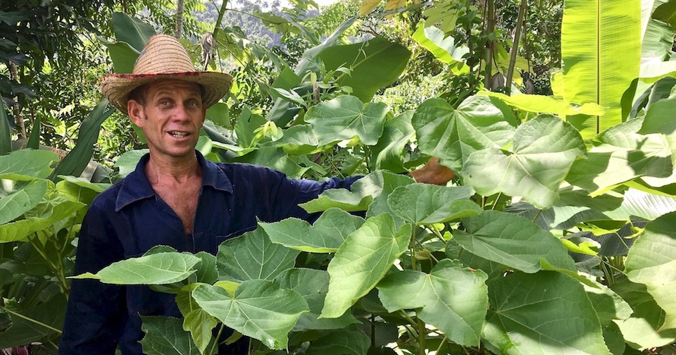 Eriberto Sourt Apiculteur Baracoa Cuba Miel Honey