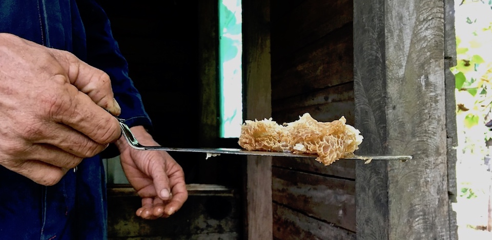 Miel Cuba Honeycomb Baracoa