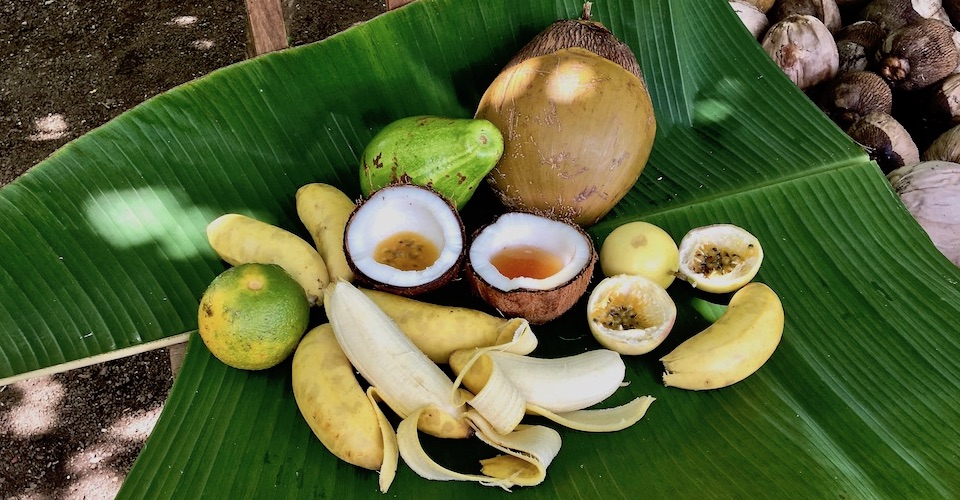 Honey and fruit • Miel et fruits • Baracoa Cuba
