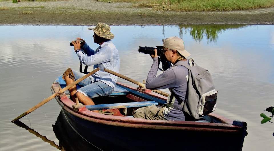 Birdwatching Ornithologie Oiseaux Birding Baracoa Eastern Cuba Pajareo Aves