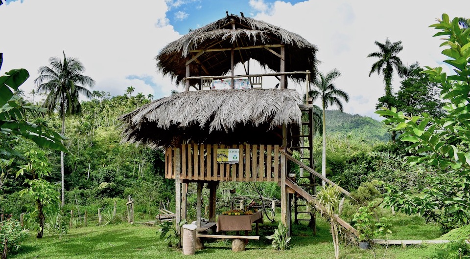 Best Farm to Table Restaurants Eastern Cuba Baracoa