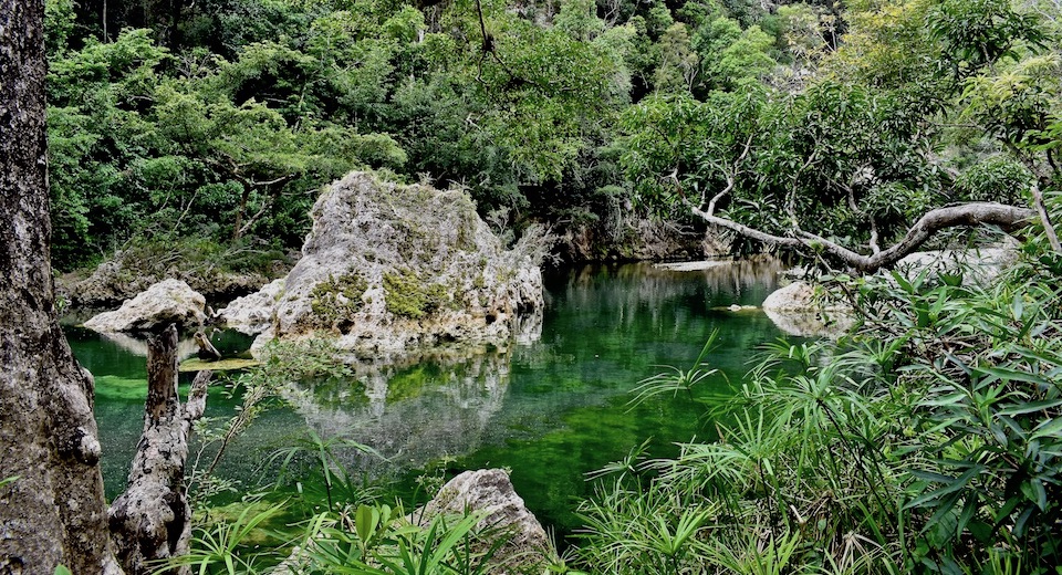 Cuba Tropical Karst Yumuri Baracoa