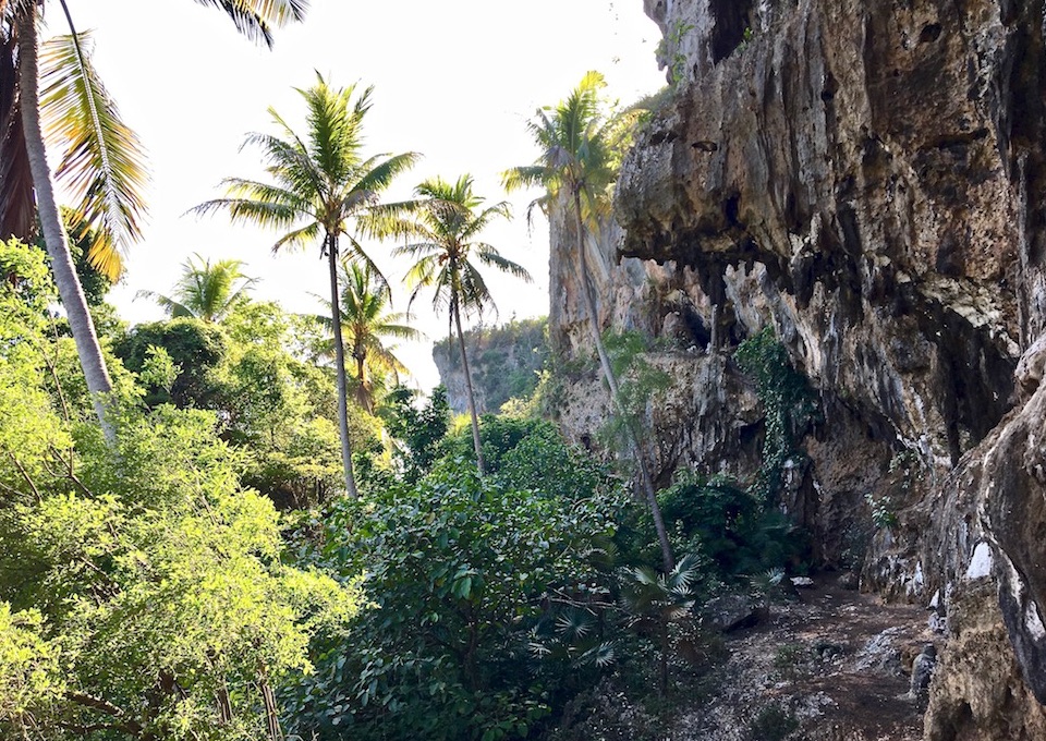 Tropical Karst Hiking Baracoa Eastern Cuba