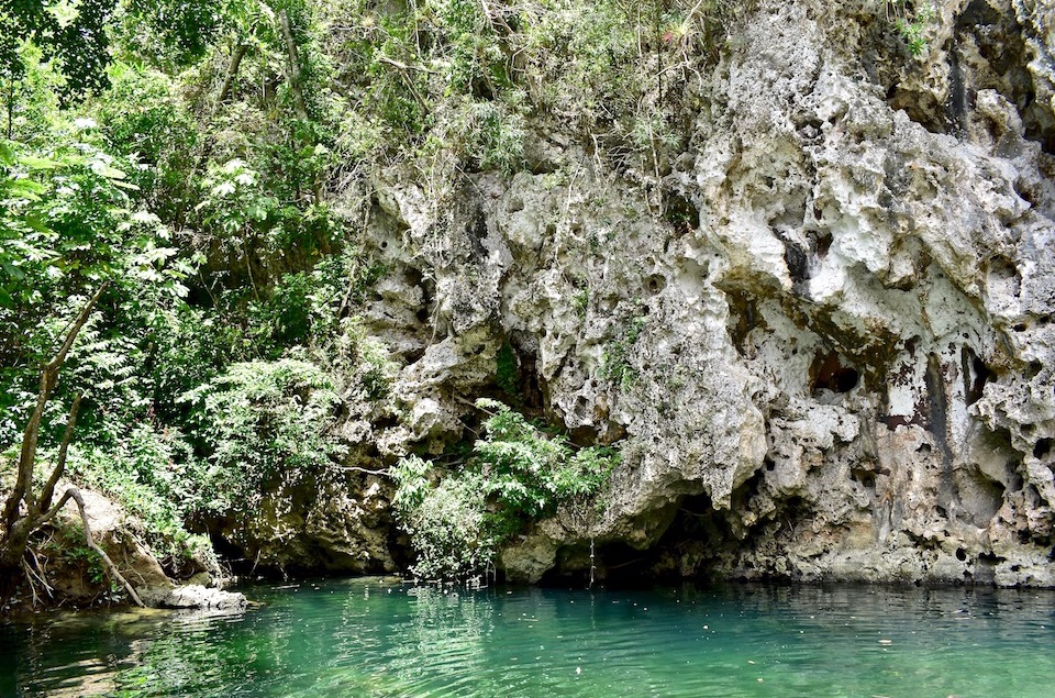 Tropical Karst Baracoa Eastern Cuba