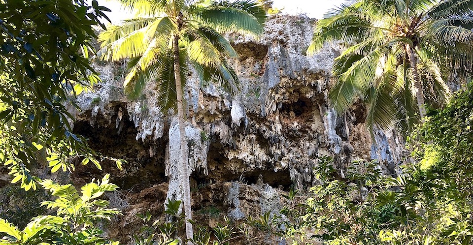 Tropical Karst Baracoa Cuba Carso Yara-Majayara