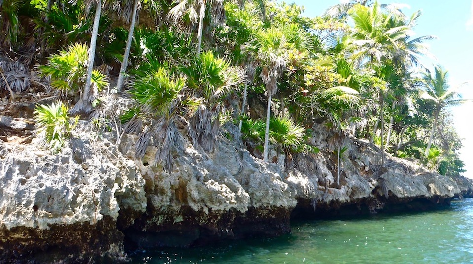 Taco Bay Tropical Karst • Alexander Humboldt National Park • Baracoa Cuba
