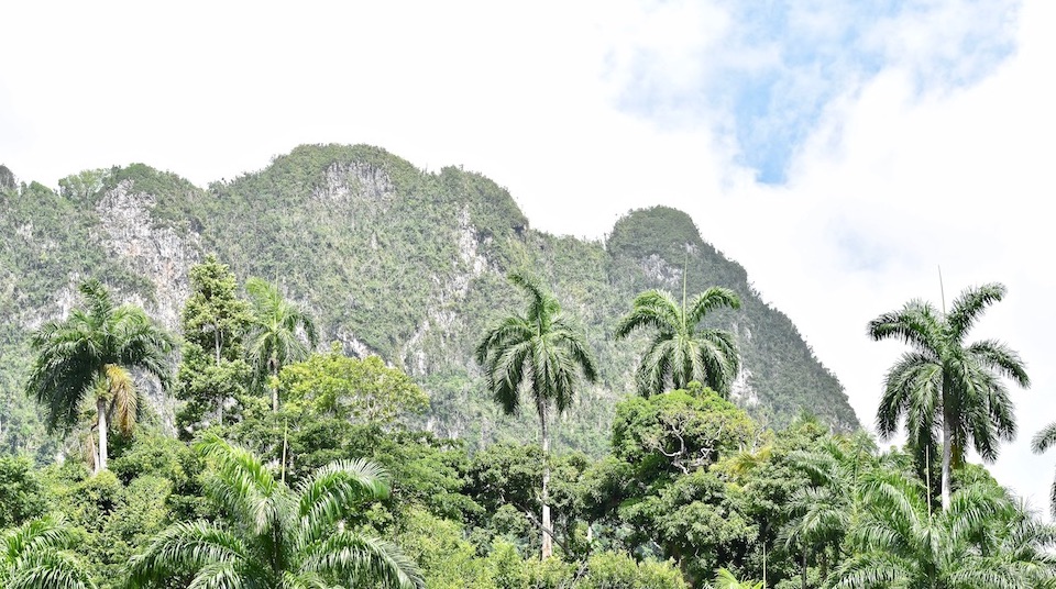 Eastern Cuba Tropical Karst El Yunque Baracoa