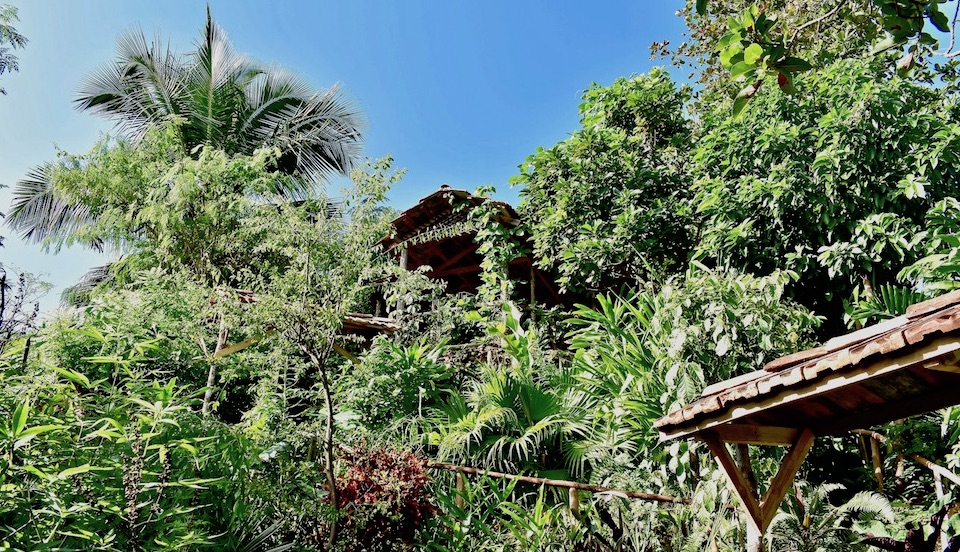 Villa Paradiso • Casa Particular • Baracoa Cuba • Garden Lookout Mirador