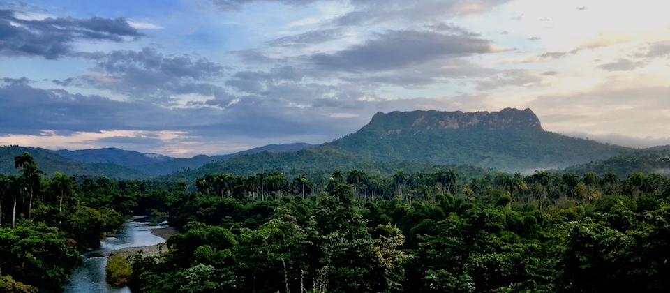 Nature | Villa Paradiso